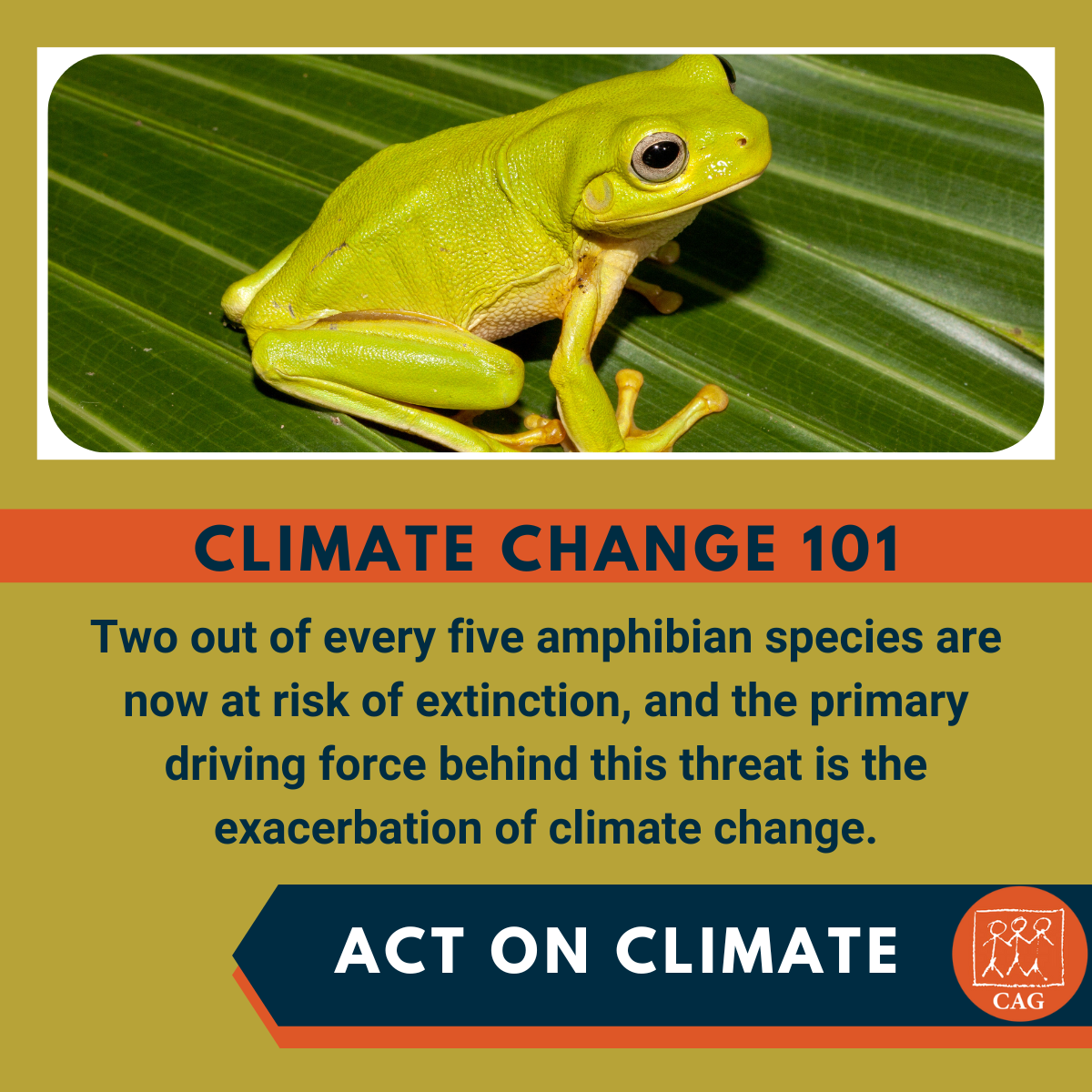 Climate Change - Risk of extinction of amphibian species | CAG